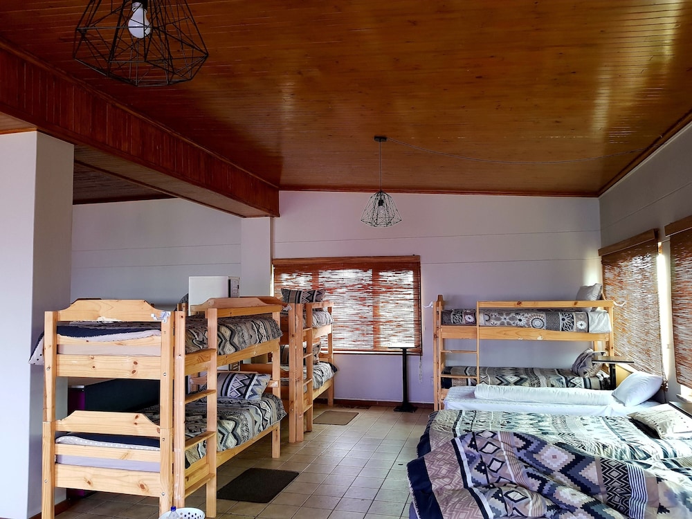 Basic Shared Dormitory photo 1