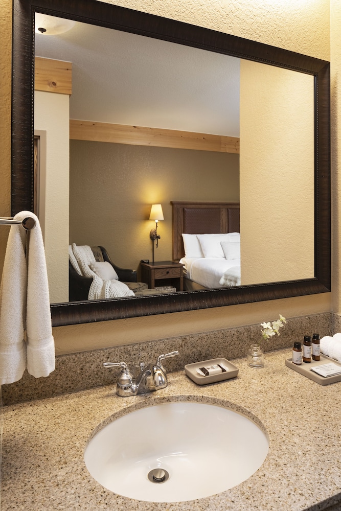 1 King & Bunk Suite photo 2