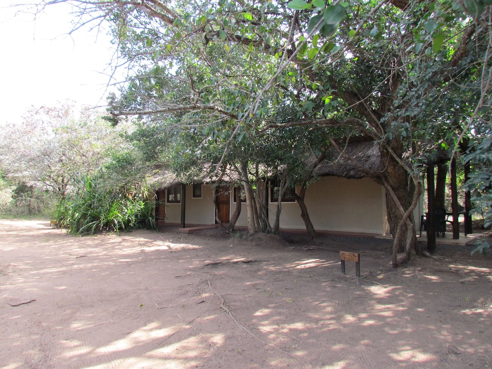 Deluxe Chalet, 1 Queen Bed, Garden View photo 2