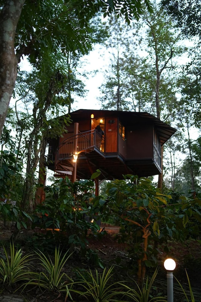 Luxury Tree House, Hot Tub, Garden View