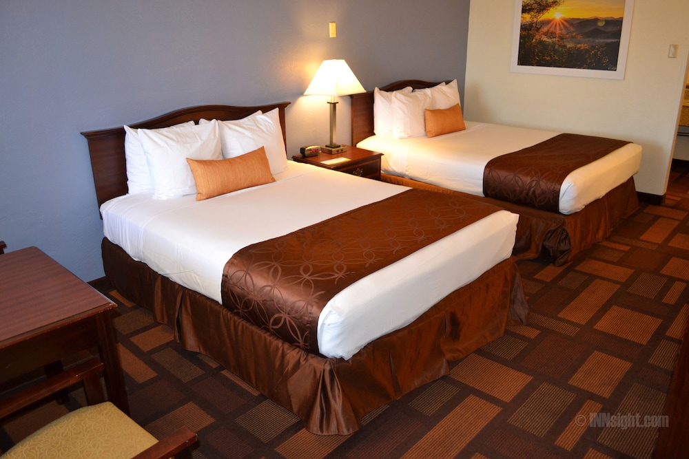 Studio Suite, Multiple Beds, Non Smoking photo 2