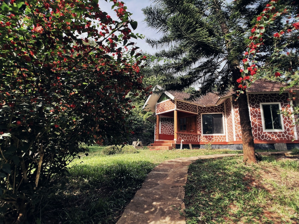 Family Cottage photo 2