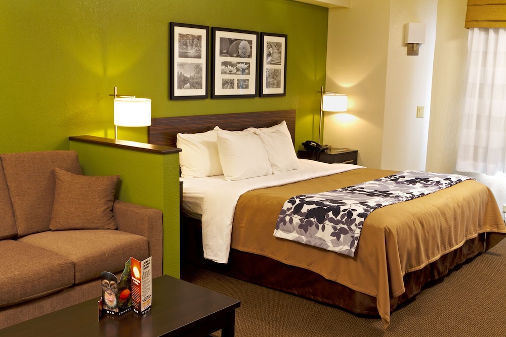 Suite, 1 King Bed with Sofa bed, Non Smoking - Photo 3