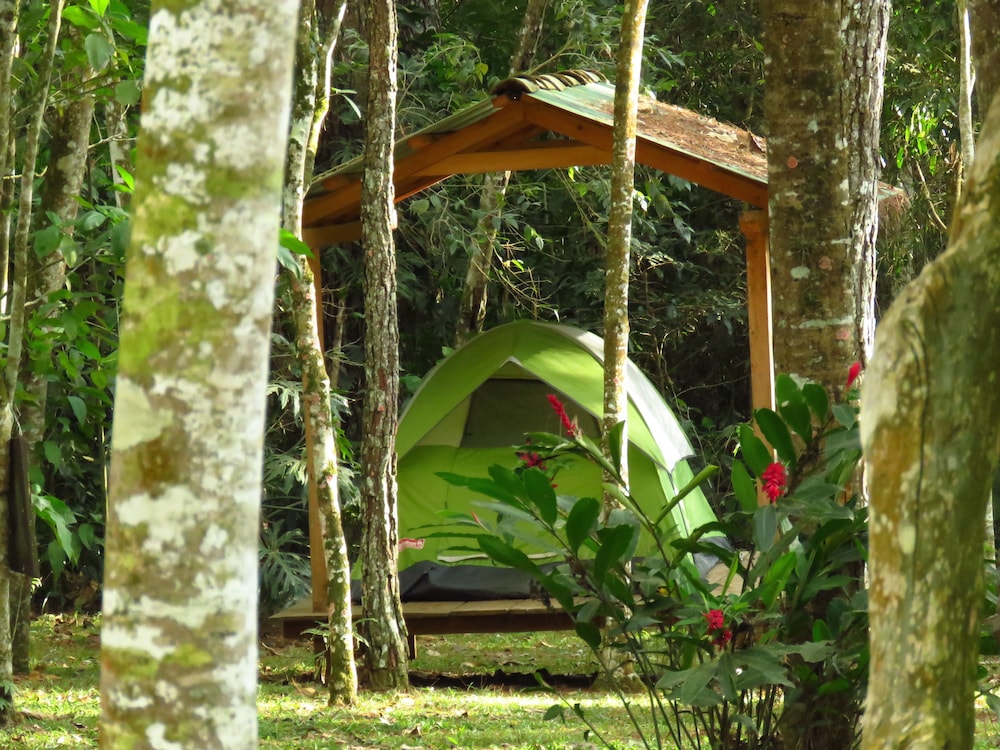 Exclusive Tent photo 1