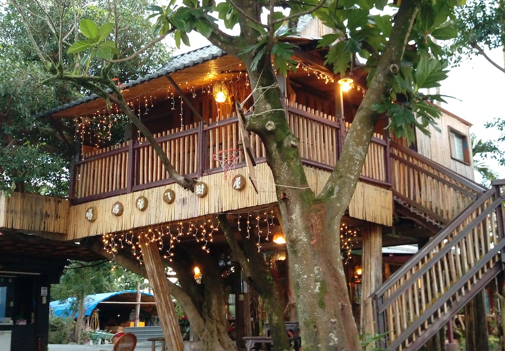 Gallery Tree House, 1 Bedroom, Patio, Courtyard Area photo 1