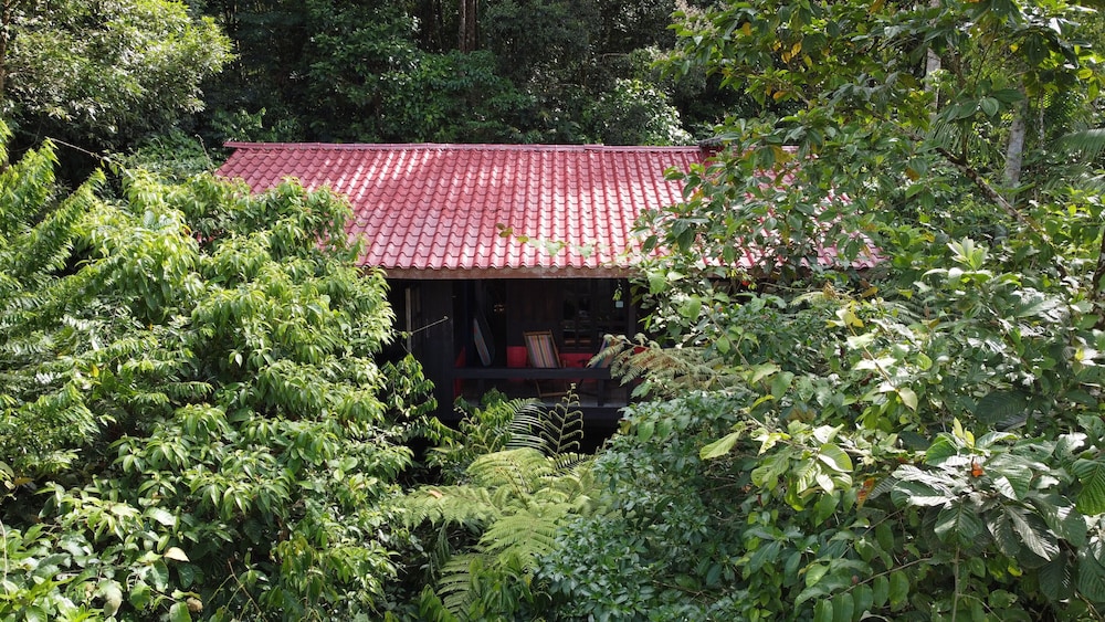 Standard Double Room, Balcony, Mountain View (Private Bathroom) photo 2