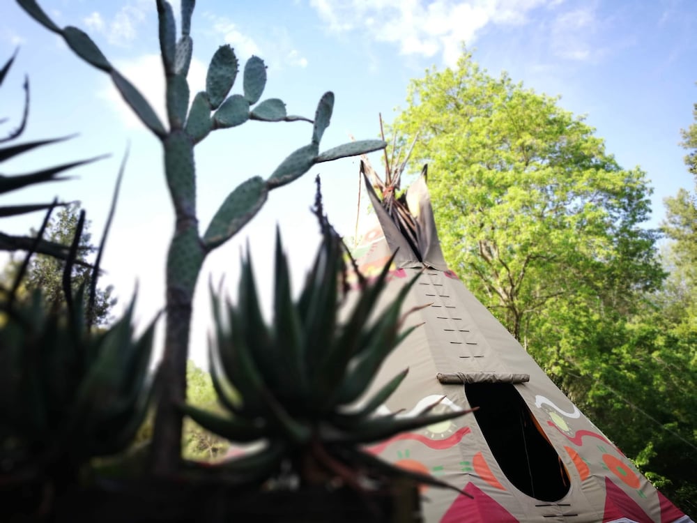 Earth Teepee photo 2