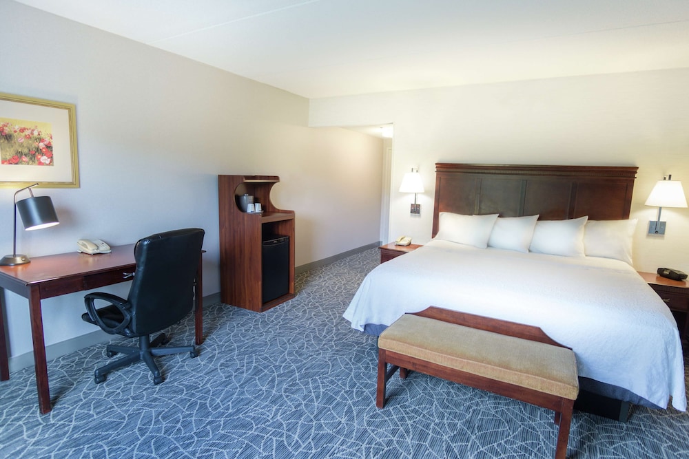 Room, 1 King Bed, Accessible - Photo 3