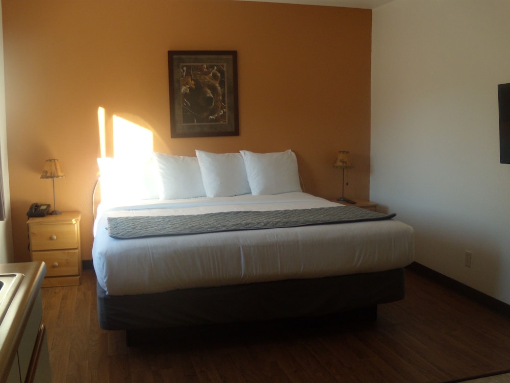 Single King Room (Pet Friendly) photo 1