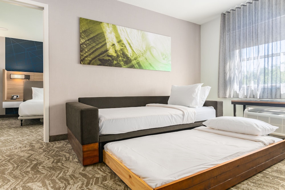 Suite, 1 Bedroom - Photo 6