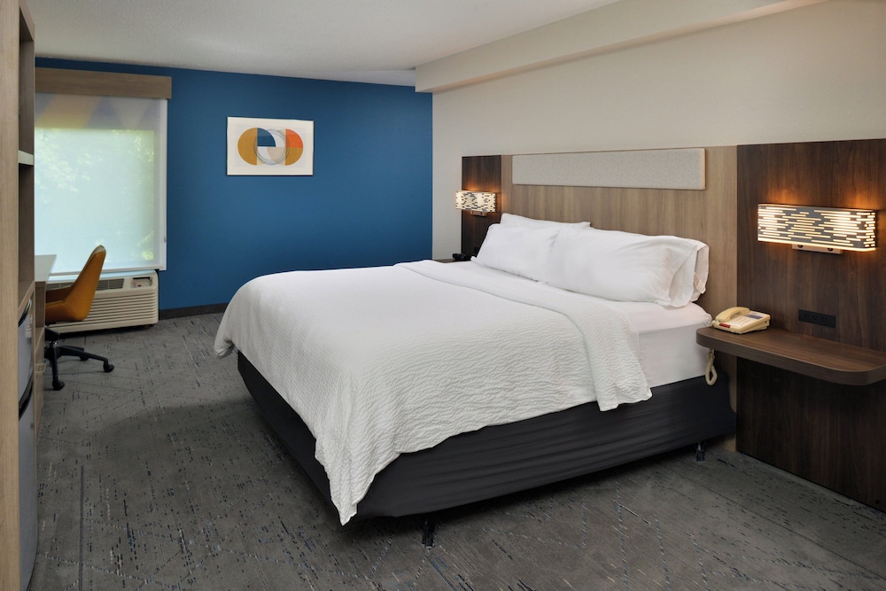 Suite, 1 King Bed - Photo 1