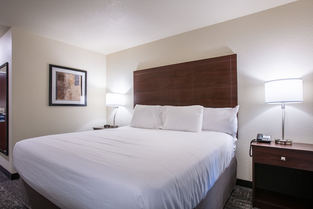 Room, 1 King Bed, Non Smoking - Photo 3