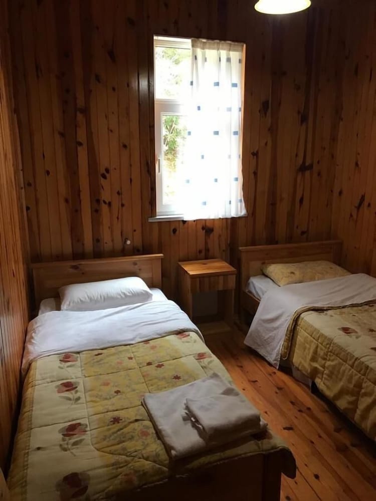 Twin Room photo 1