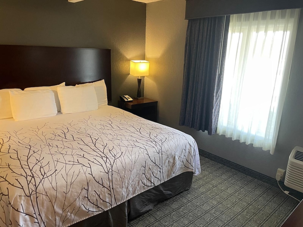 Suite, 1 King Bed - Photo 1