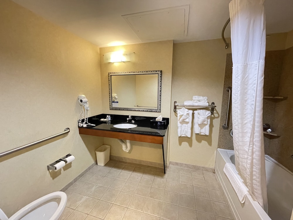 1 King Bed with Double Sized Sofa bed, Accessible, Non Smoking - Photo 19