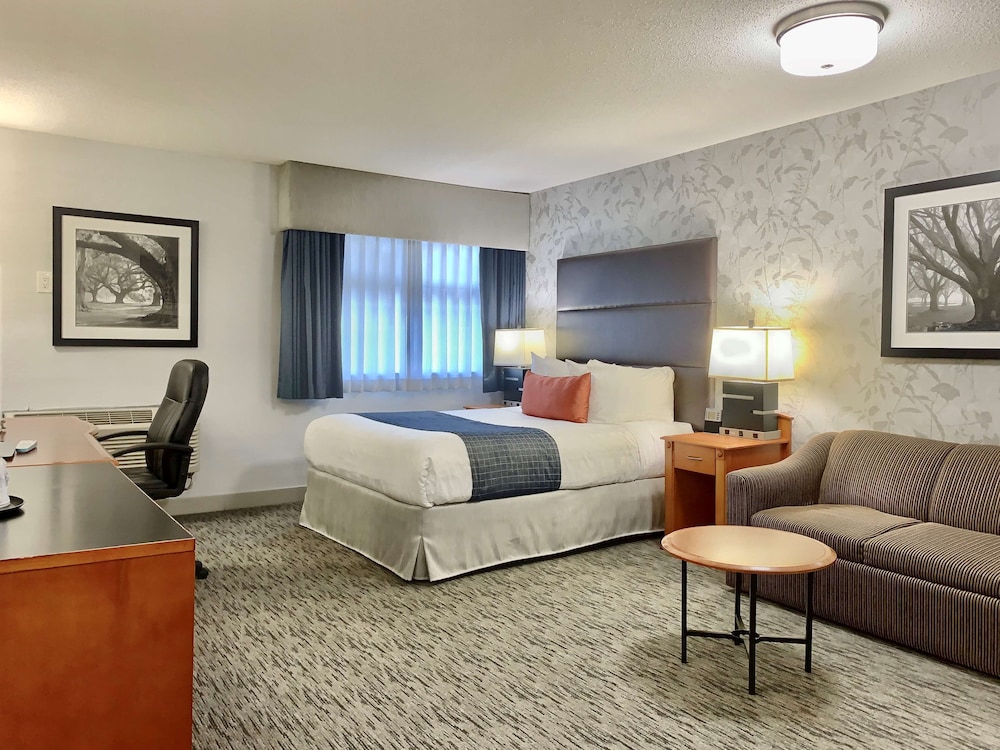 Standard Room, 1 King Bed, Non Smoking, Refrigerator & Microwave (with Single Sofabed) - Photo 2