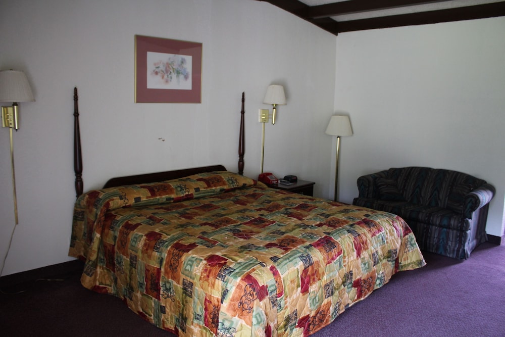 Room, 1 King Bed, Refrigerator & Microwave (Nonsmoking) photo 1