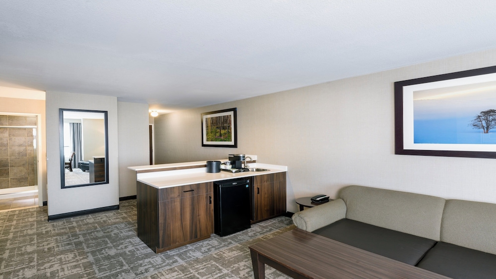 Suite, 1 King Bed - Photo 11