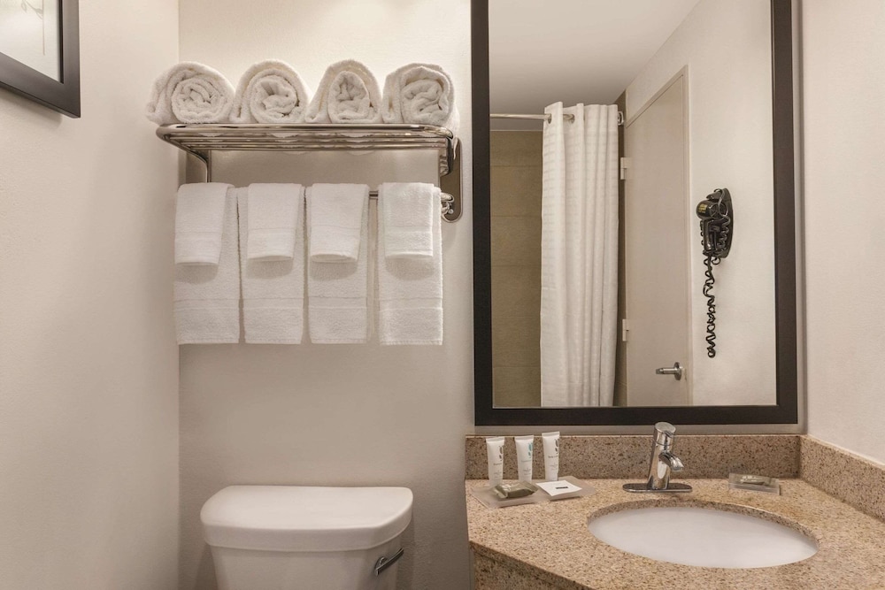 Suite, Multiple Beds, Non Smoking (Efficiency, Upgrade) - Photo 4
