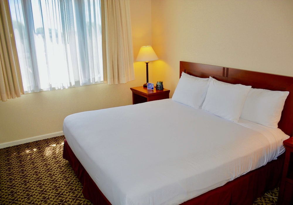 Suite, 1 King Bed, Accessible (Mobility & Hearing, Roll-in Shower) - Photo 2
