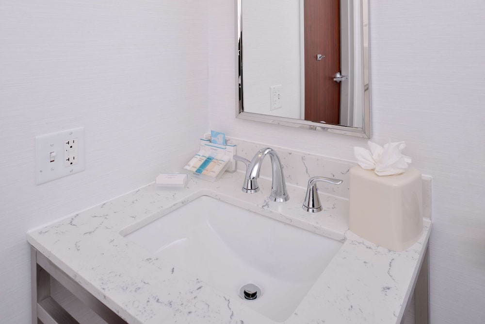 1 King Mobility Accessible Room with Roll In Shower - Photo 8