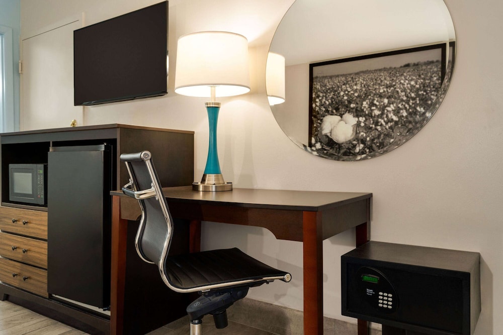 Studio Suite, 1 King Bed, Non Smoking photo 3