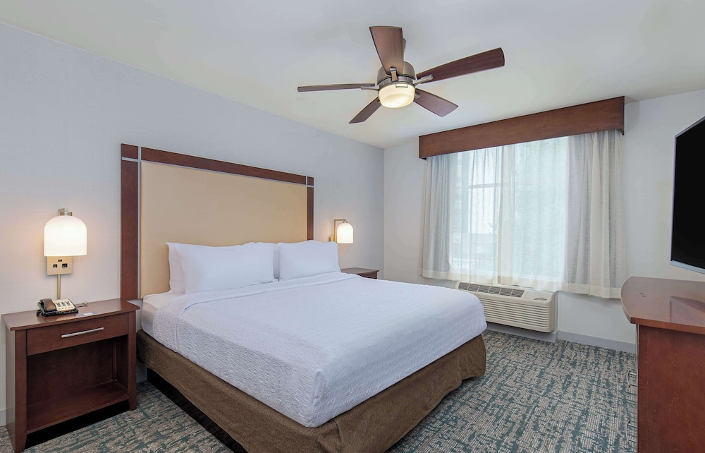 Suite, 1 King Bed with Sofa bed