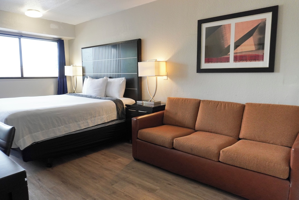 Deluxe Double Room photo 1