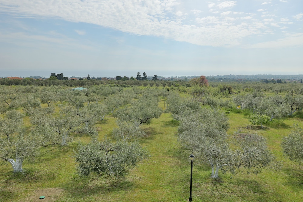 Zeusplace Olympus Olive Country House 4, Bilde 50