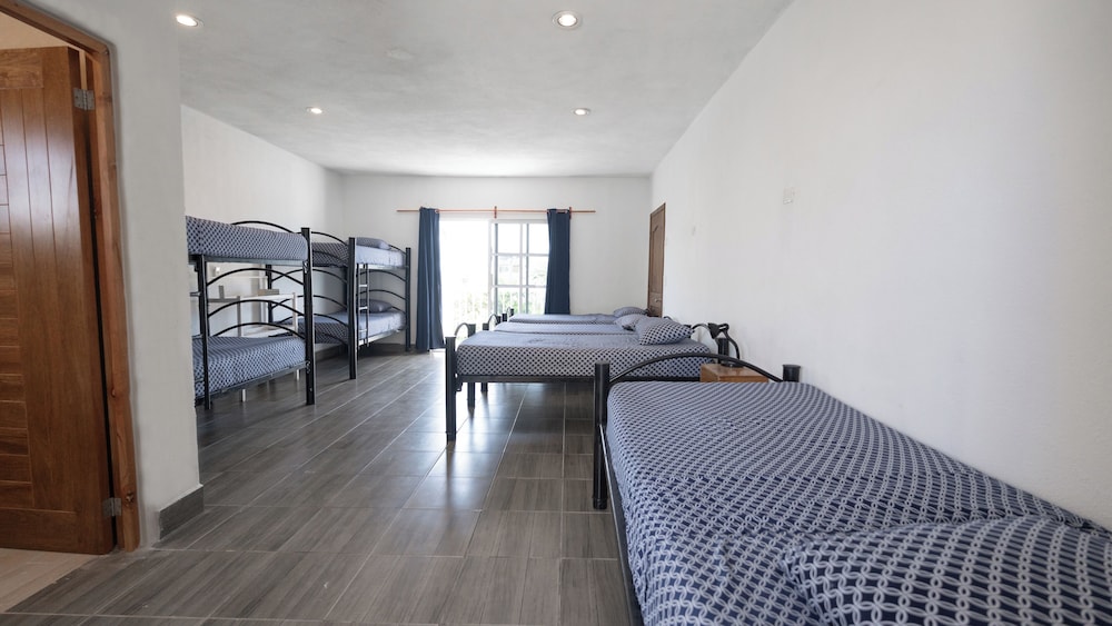 Basic Shared Dormitory photo 1