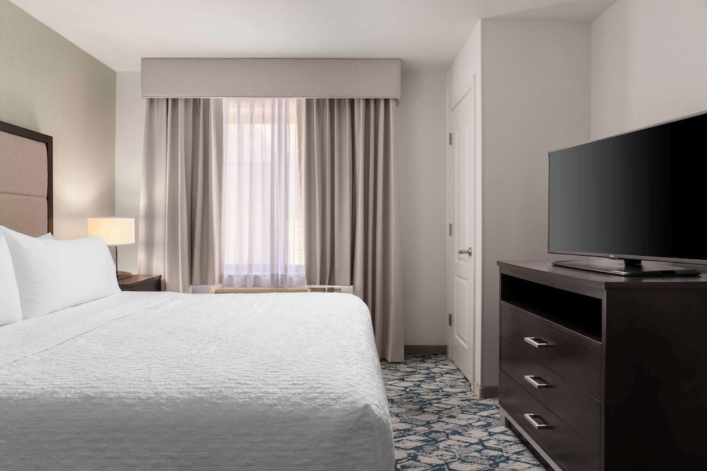 Suite, 1 King Bed photo 3