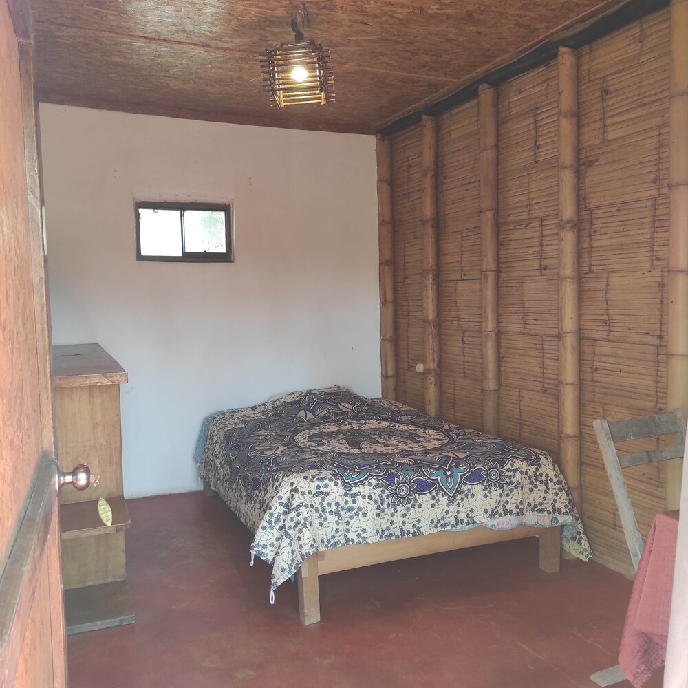 Basic Room, Patio, Garden View photo 1
