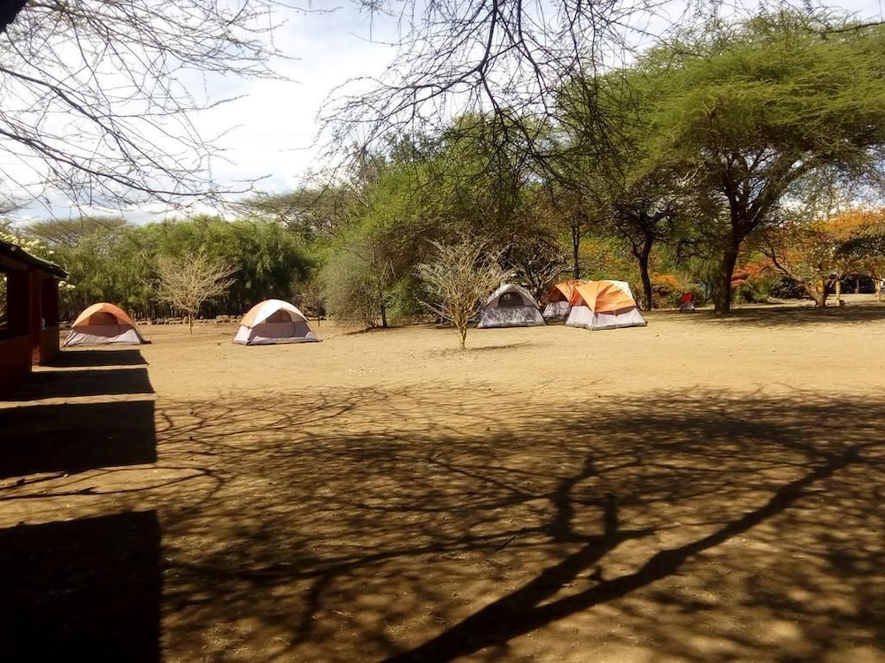 Tent, 2 Twin Beds photo 1