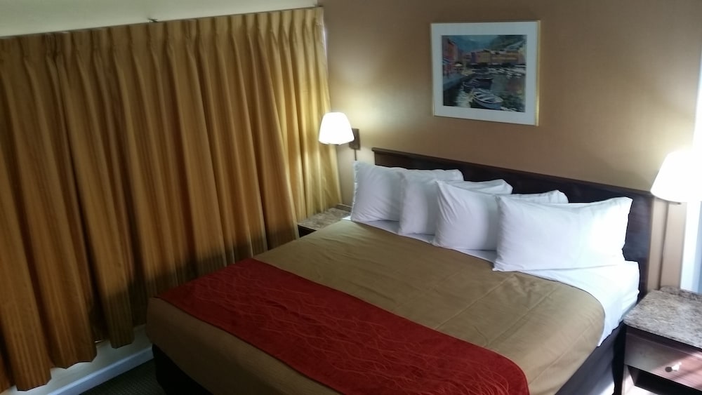 Standard Room, 1 King Bed photo 2