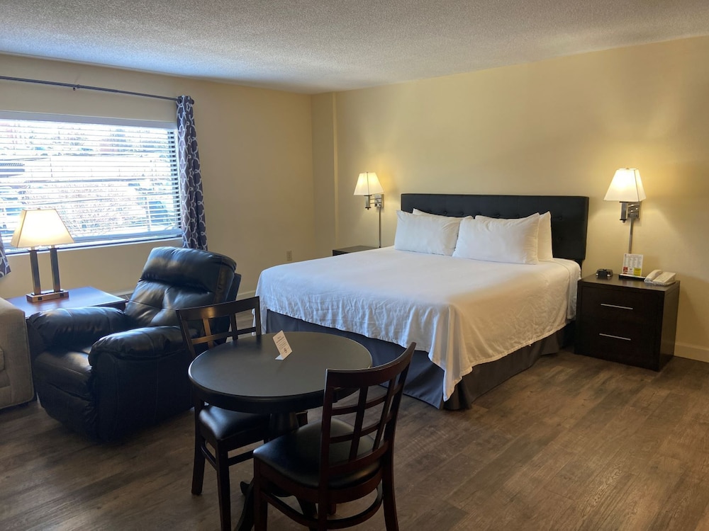 Studio Suite, 1 King Bed with Sofa bed, Kitchenette - Photo 3