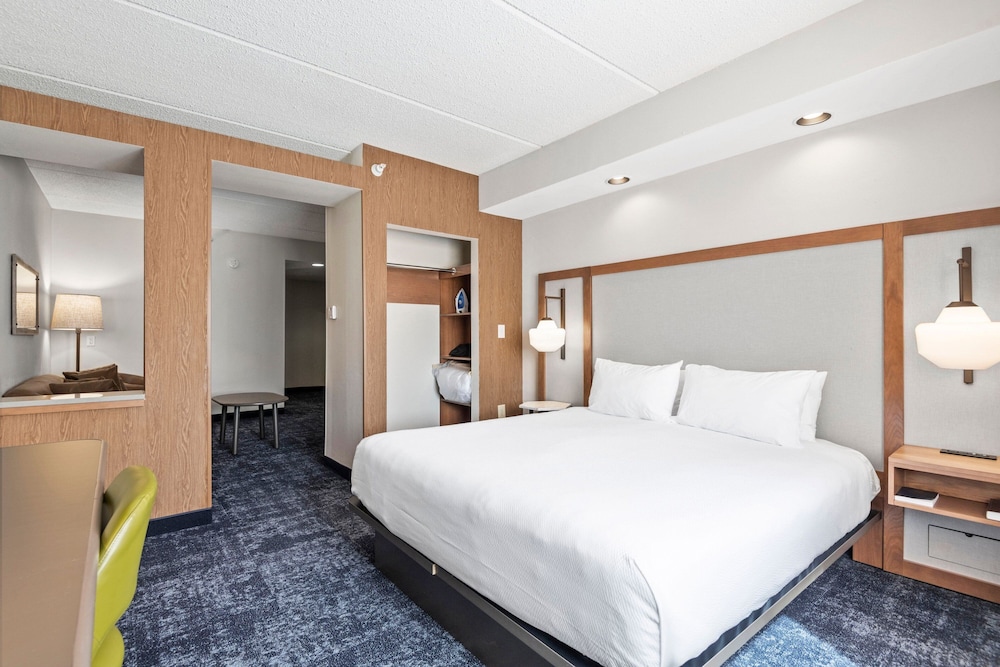 Suite, 1 King Bed with Sofa bed photo 1