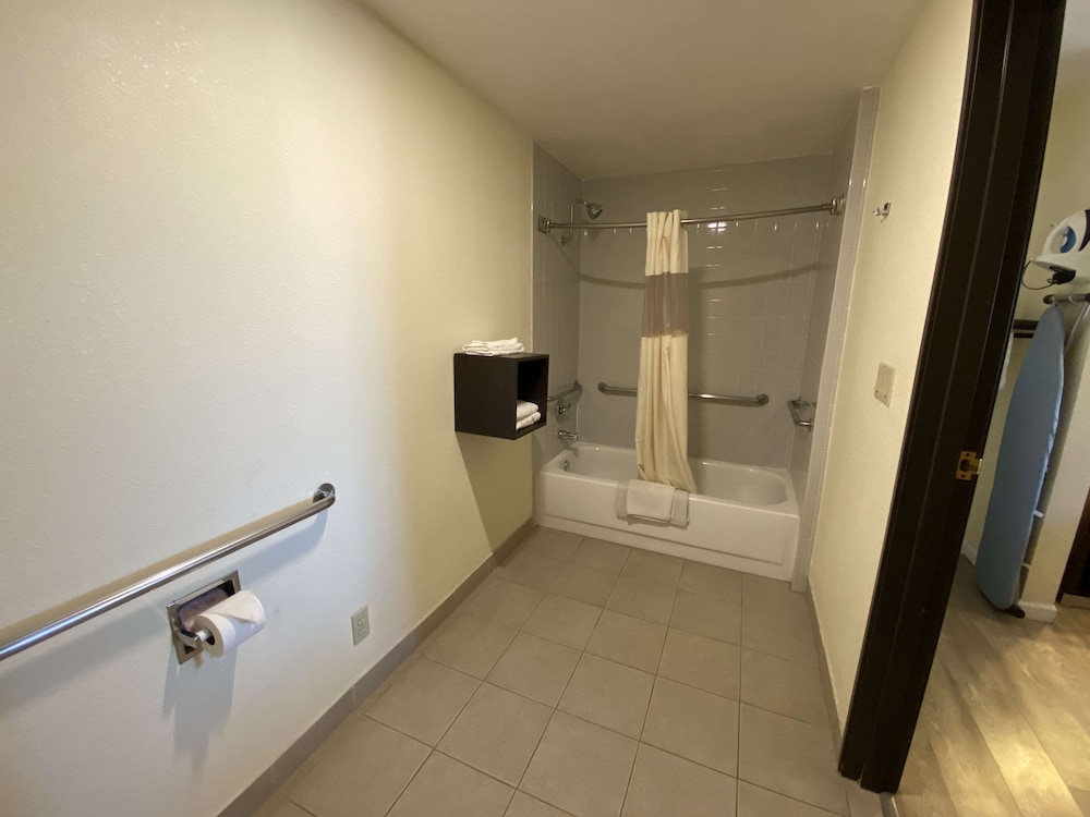 Standard Room, 1 King Bed, Accessible, Refrigerator & Microwave - Photo 8