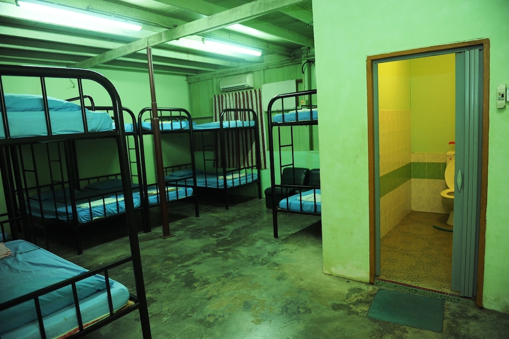 Single Bed in 12-Bed Mixed Dormitory photo 1
