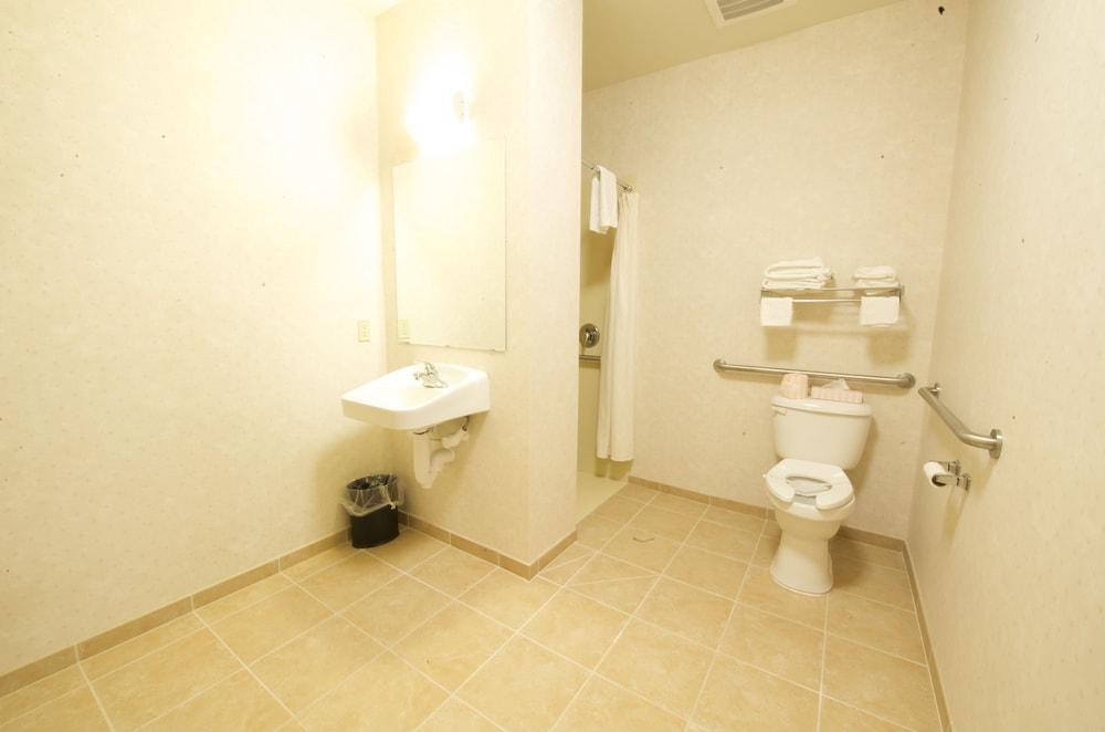 Room, 1 King Bed, Accessible - Photo 4