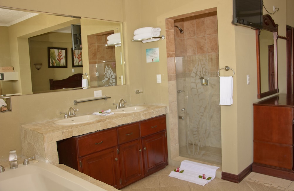 Deluxe Suite - Photo 6