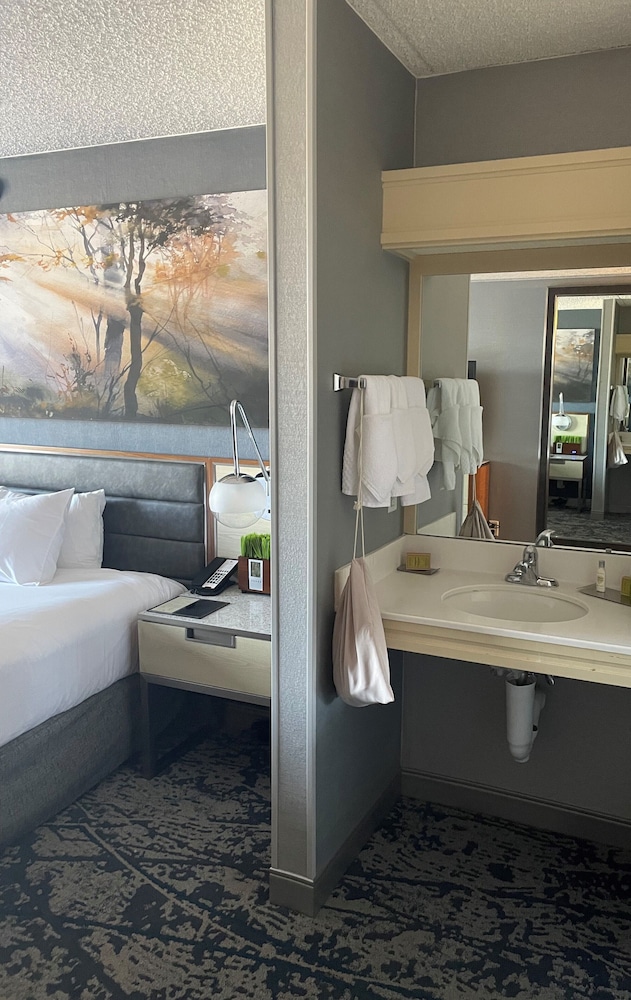 Room, 1 Double Bed, Accessible (Hearing Access Roll in Shower)