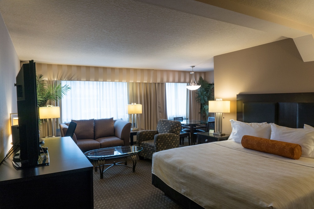 Suite, 1 King Bed photo 1