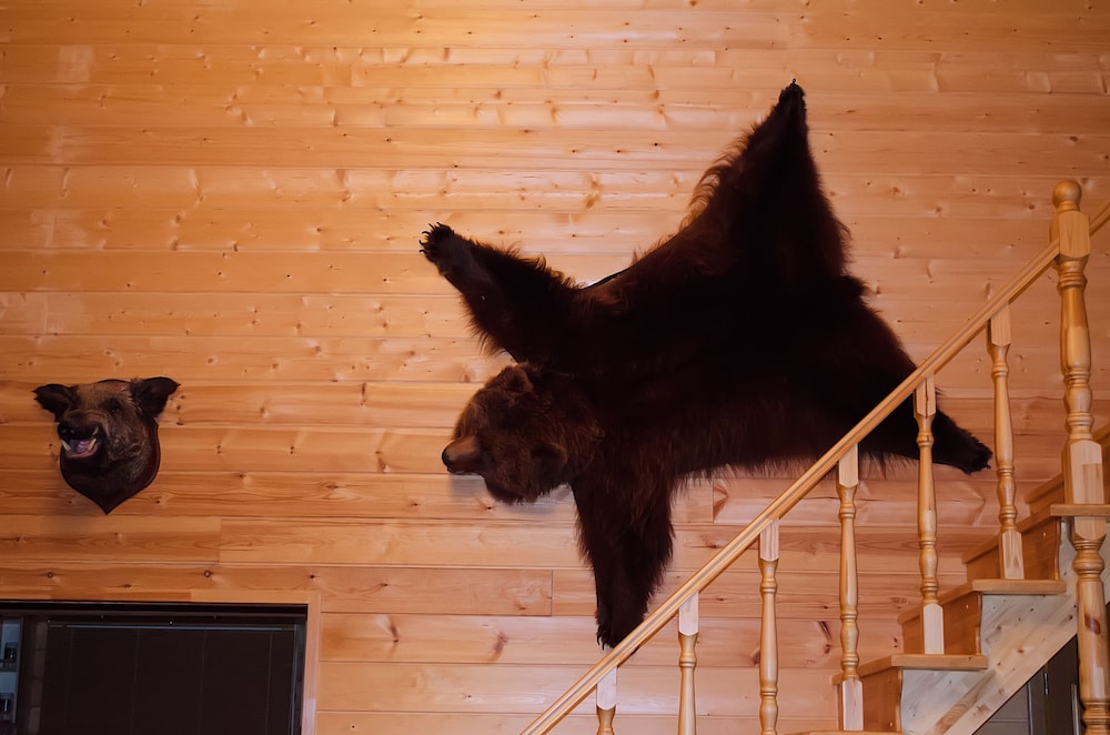 Cabin, 4 Bedrooms photo 2