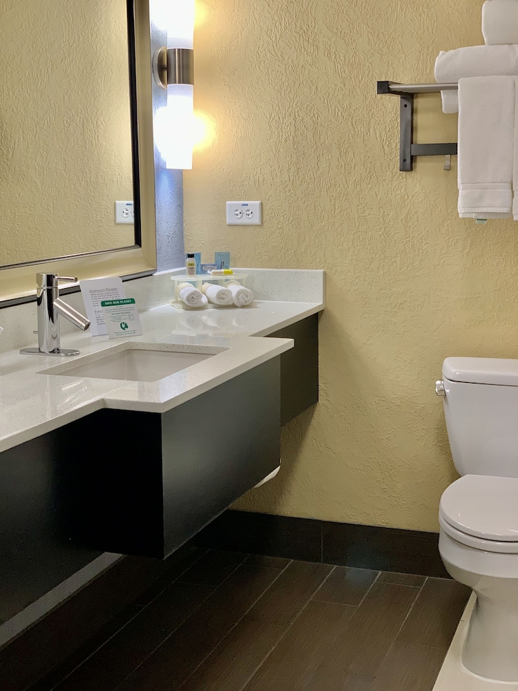 Standard Room, 1 King Bed, Accessible (Communications, Accessible Tub) - Photo 5
