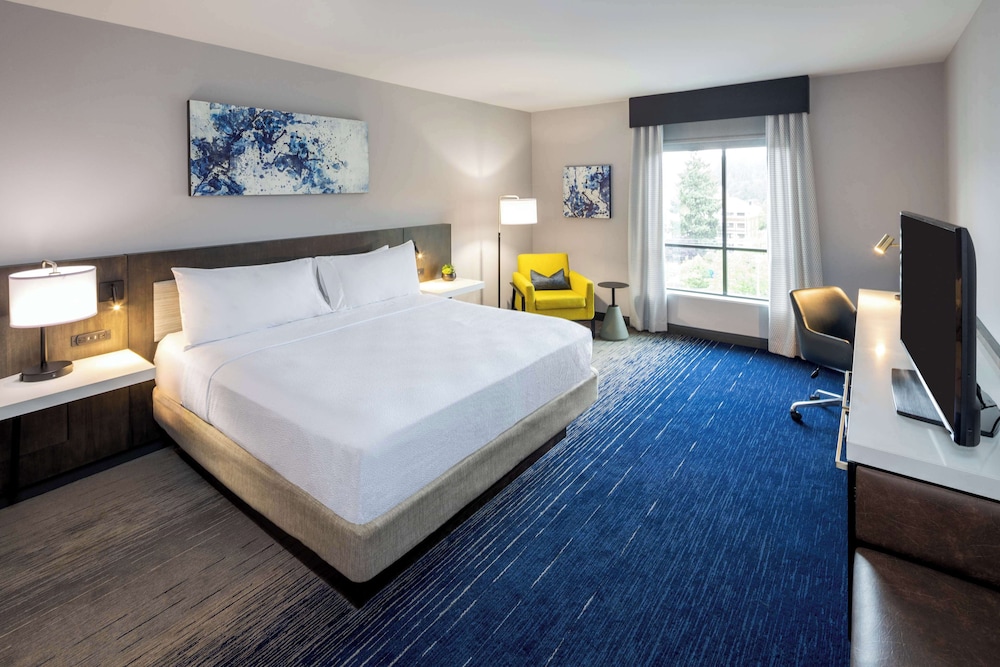 Room, 1 King Bed (Drinks-Snacks) - Photo 3