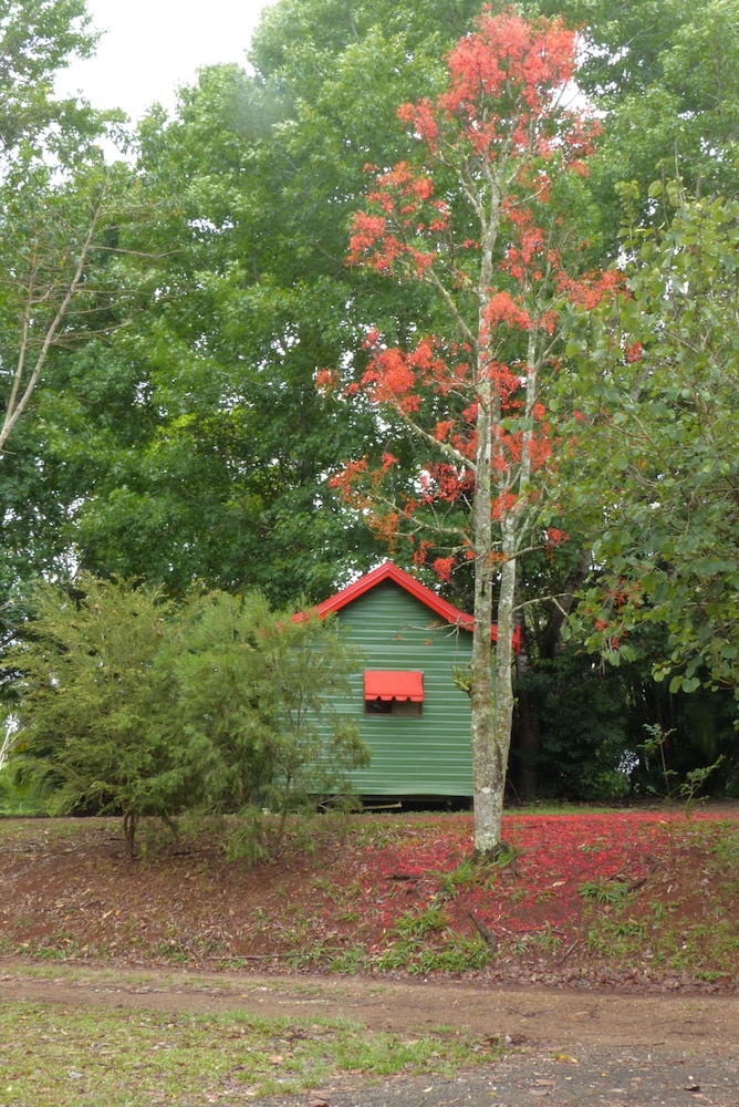 Family Cabin, Green photo 3