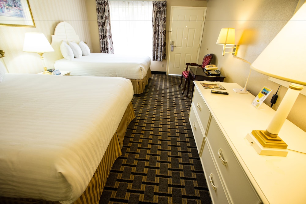 Single Room, 2 Queen Beds, Accessible - Photo 2