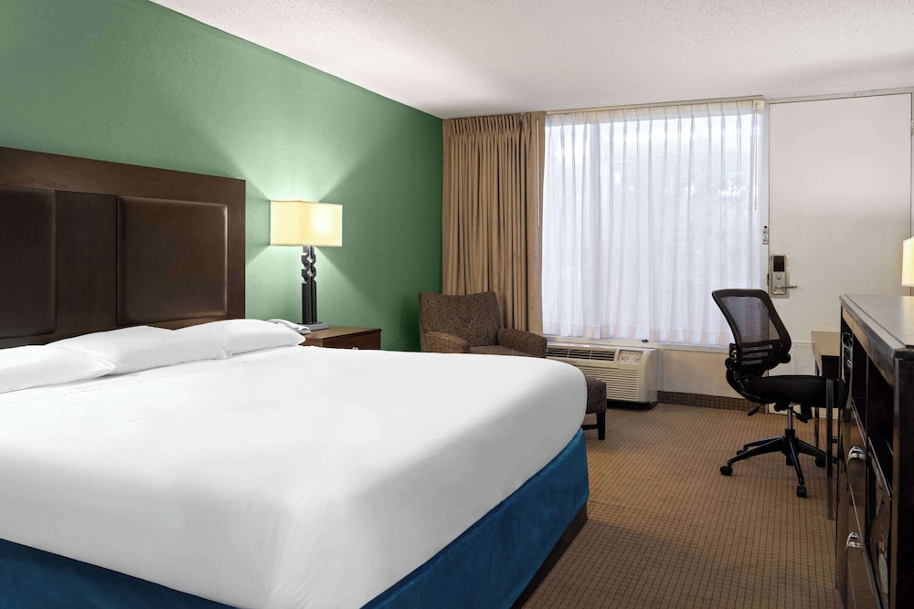 Room, 1 King Bed, Non Smoking - Photo 1