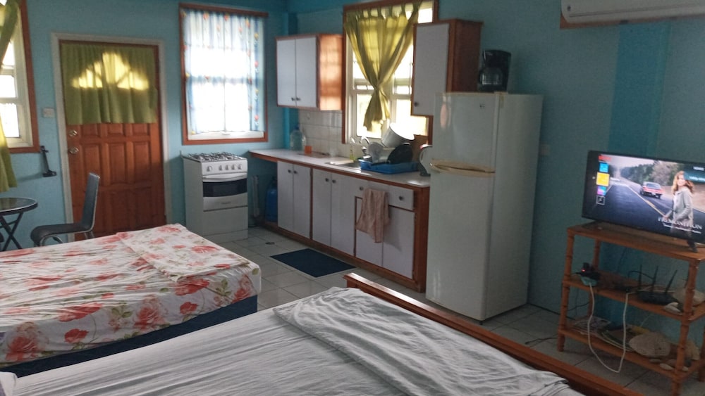 Family Studio Suite, Multiple Beds, Mountain View photo 3