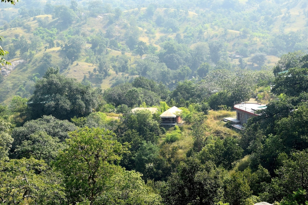 Luxury Cottages - Photo 9
